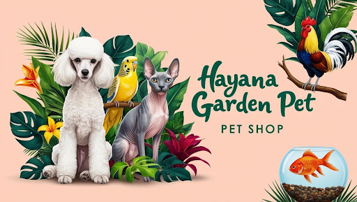 Photo from customer review