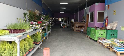 Photo from customer review